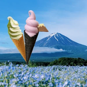 日本 decole 冰淇淋富士山貓